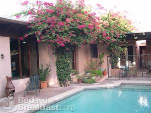Adobe Rose Inn::BedAndBreakfast.com