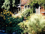 Nautilus Guest House