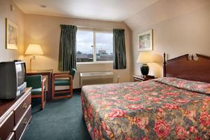 Web-sea_dino-rooms-1