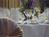 Holiday Inn Hotel & Suites Boston - Peabody::Priceline.com