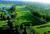Plantation Inn And Golf Resort::Travelocity.com