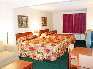 Web-den_ster-suite-1