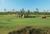 BAREFOOT GOLF RESORT::Priceline.com