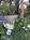 Valley Ford Hotel::BedAndBreakfast.com