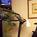 Residence Inn by Marriott Jackson::Expedia
