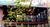 Pigeon Creek Inn::BedAndBreakfast.com
