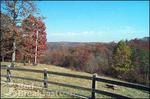 Buffalo River Lodge