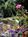 High Haven House Bed And Breakfast Inn::BedAndBreakfast.com