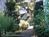 Centrella Inn::BedAndBreakfast.com