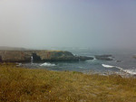 Tn-755945740_cd5244b098_m