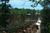 Magic Springs Theme Park & Crystal Falls Water Park::ThrillNetwork.com