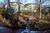 Plaza Inn & Suites at Ashland Creek::Expedia