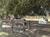 Paynes Prairie State Preserve::TripAdvisor