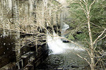 Cumberland Mountain State Park