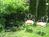 Escape Guesthouse::BedAndBreakfast.com