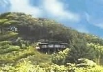 Maui Tradewinds Tropical