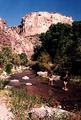 Tn-trekking-through-the-sonoran-desert-in-tucson-1