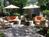 InterContinental Suites Cleveland::Orbitz
