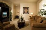 THE SPRINGS MESQUITE