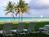 Driftwood On The Ocean::TripAdvisor