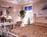 Little Inn by Bay - Newport Beach::BedAndBreakfast.com