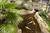 Embassy Suites Atlanta - Buckhead::Expedia