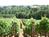 Brookside Inn::TripAdvisor