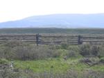 Wagon Wheel Village