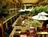 Canyon Plaza Quality Inn::Expedia
