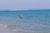 Scusset Beach State Res.::ReserveAmerica.com