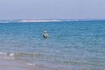 Tn-ma_32620_2