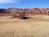 Best Western Capitol Reef Resort::Priceline.com
