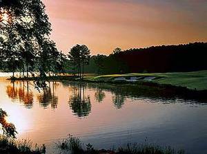 The Ritz-Carlton Lodge, Reynolds Plantation::Expedia