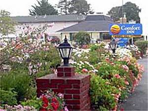 Comfort Inn Carmel Hill::Hotels.com