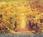 Super 8 Motel - Ironwood::Orbitz