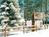 Big Bear Frontier Lodge from Hotels.com