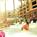 Courtyard by Marriott Lake Buena Vista in The Marriott Village::Expedia