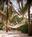 The Palms South Beach from Orbitz