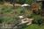 Casa Carolina::BedAndBreakfast.com