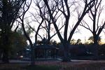 Liberty Park