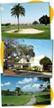 Cove Cay Country Club::Cove Cay Country Club