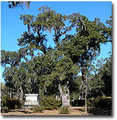 Tn-bonaventure_cemetery_sm