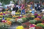 Tn-ocean-grove-new-jersey-lodging-theoceanplaza