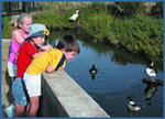 Tn-kids_aviary