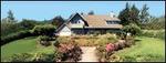 Oleander House