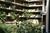 Embassy Suites Hotel Washington, D.C.::TravelPost.com