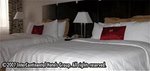 Crowne Plaza Hotel Detroit- Novi