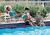 Hilton Clearwater Beach Resort::Hotels.com