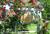 Port Washington Inn::BedAndBreakfast.com
