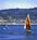Best Western Redondo Beach Inn::Expedia